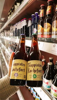 免费畅饮！200款进口精酿啤酒与无酒精饮品一次尝遍